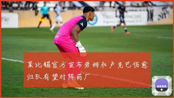 莱比锡官方宣布劳姆和卢克巴伤愈归队有望对阵药厂