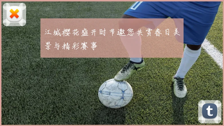 江城樱花盛开时节邀您共赏春日美景与精彩赛事